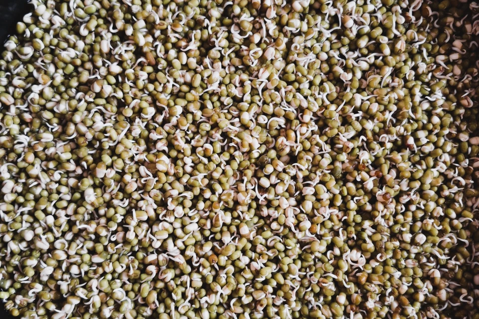 Rethinking Food: A Personal Journey to Conscious Eating